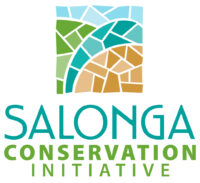Salonga Conservation Initiative, Inc