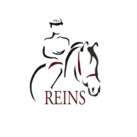 REINS Inc.